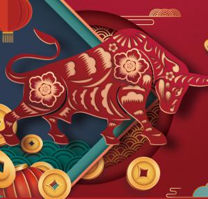 2021，加油干就是了！